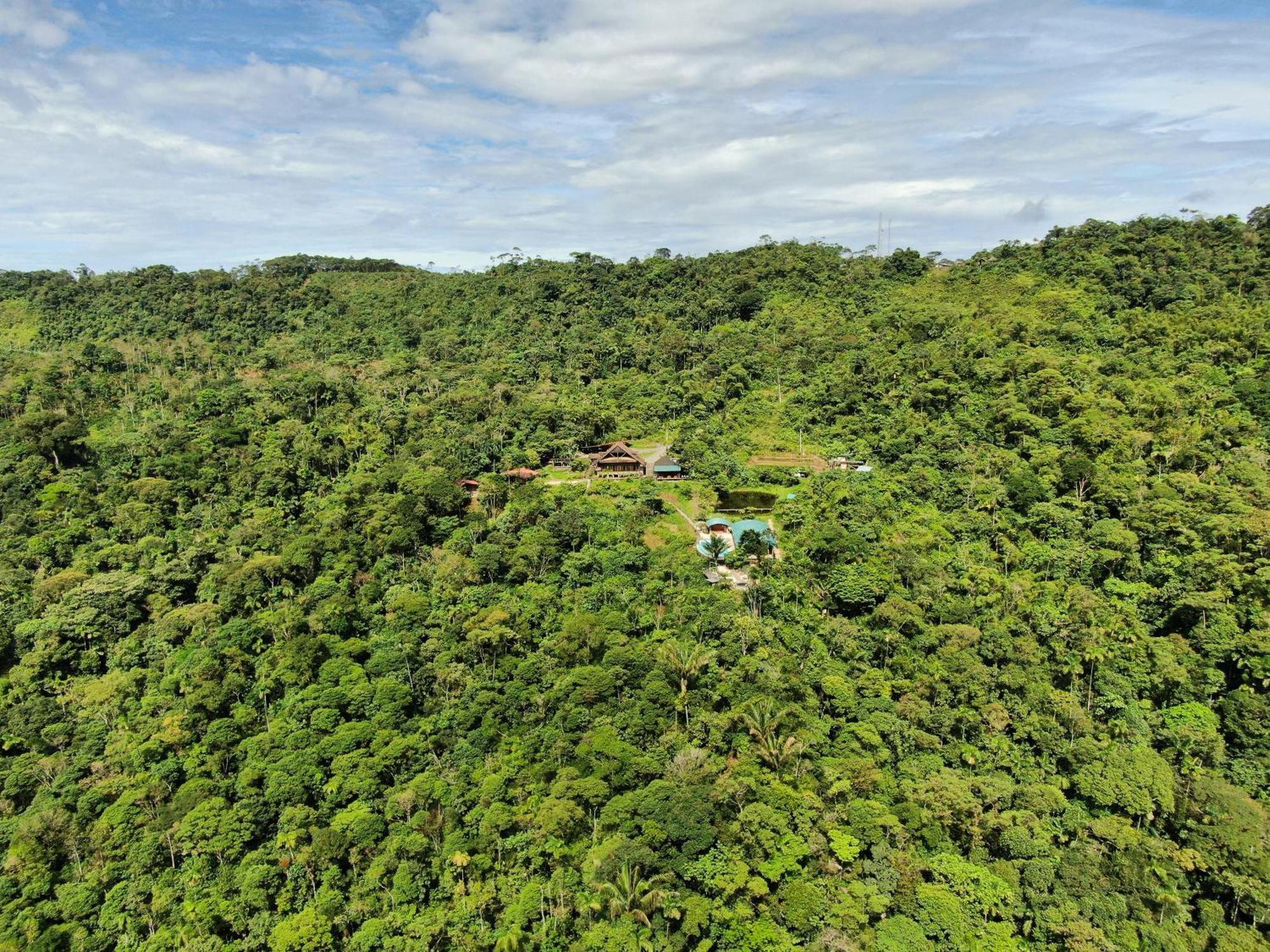 Heimatlos Amazon Lodge Puyo Dış mekan fotoğraf