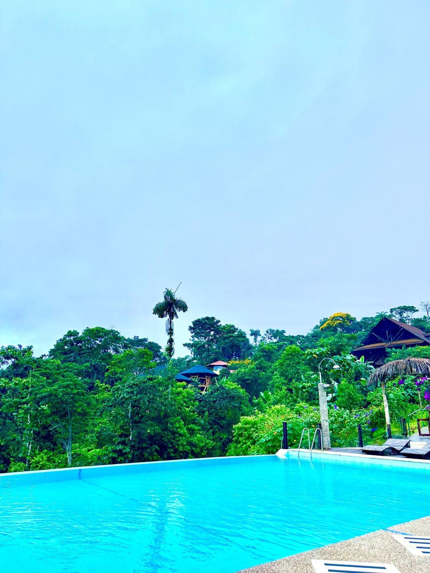 Heimatlos Amazon Lodge Puyo Dış mekan fotoğraf